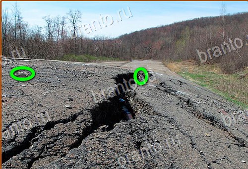 ответы на игру Найди кота Уровень 672