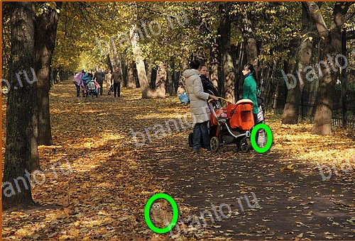 ответы на игру Найди кота Уровень 676