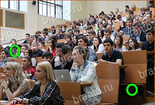 решения на игру Найди кота Уровень 679