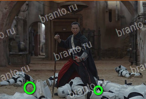 ответы на игру Найди кота Уровень 682