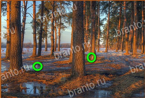 ответы на игру Найди кота Уровень 684