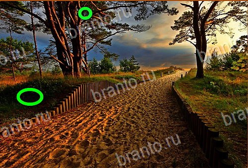 фотоответы на игру Найди кота Уровень 686