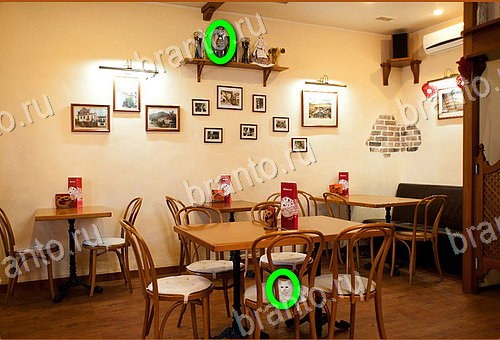 ответы на игру Найди кота Уровень 691