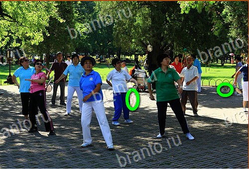 прохождение игры Найди кота Уровень 695