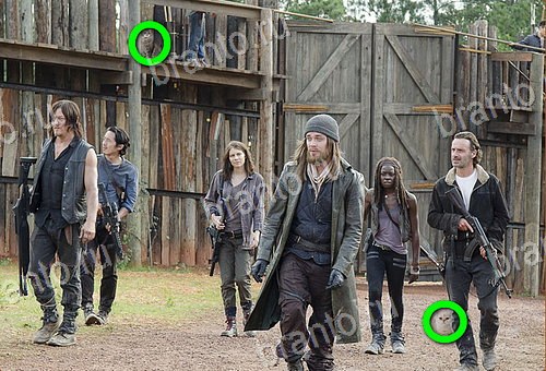 сборник ответов на игру Найди кота Уровень 698