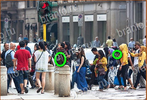 решебник на игру Найди кота Уровень 699