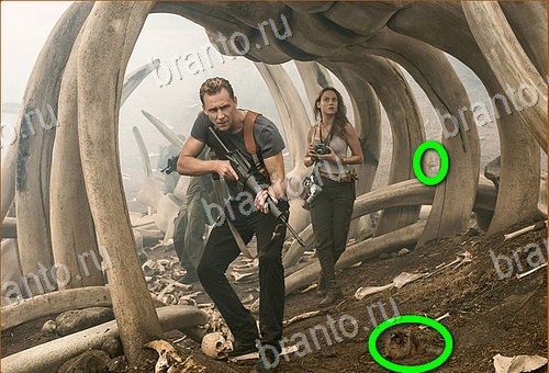 Найди кота игра ответы Уровень 700