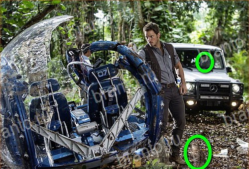 Найди кота игра ВК ответы Уровень 701