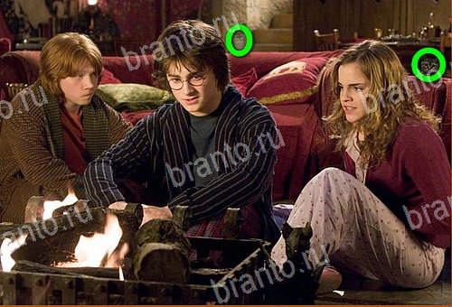 ответы на игру Найди кота Уровень 707