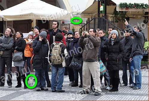 ответы на игру Найди кота Уровень 708