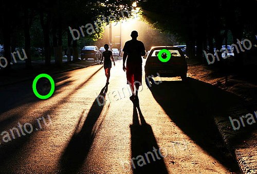 решения на игру Найди кота Уровень 709