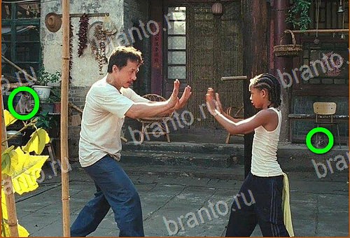 подсказки Найди кота Уровень 722