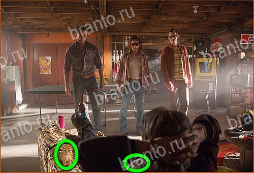 сборник ответов на игру Найди кота Уровень 728