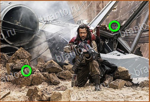 решения на игру Найди кота Уровень 739