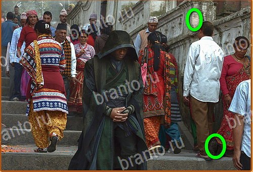 фотоответы на игру Найди кота Уровень 776