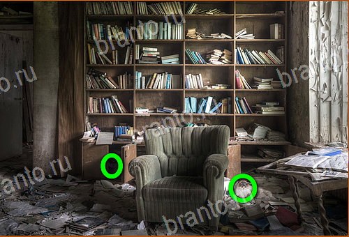 фото-ответы на игру Найди кота Уровень 779