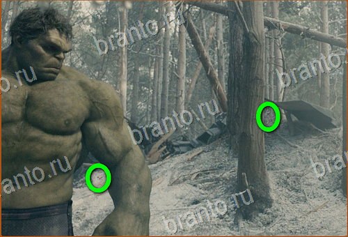 прохождение игры Найди кота Уровень 785