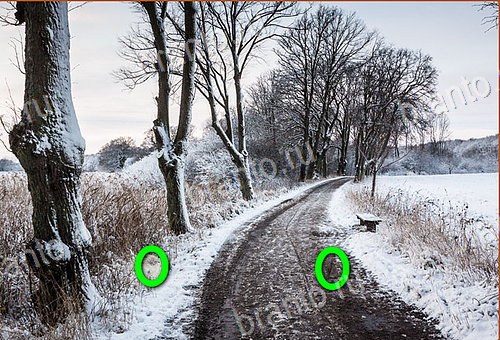 сборник ответов на игру Найди кота Уровень 788