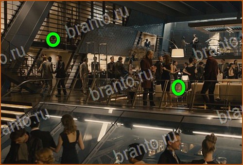 подсказки на игру Найди кота Уровень 800