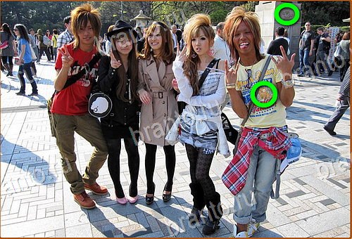 решебник на игру Найди кота Уровень 819