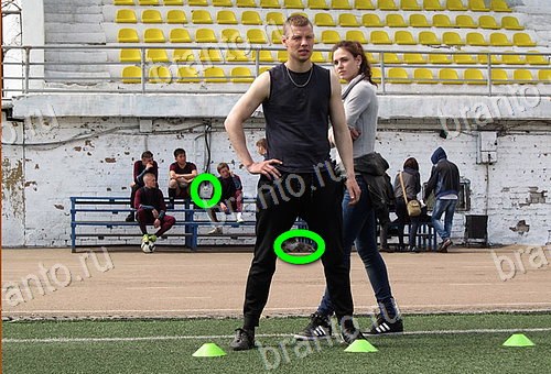 ответы на игру Найди кота Уровень 858