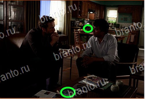 подсказки Найди кота Уровень 872