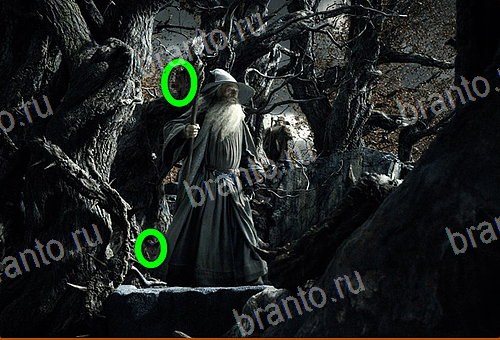 сборник ответов на игру Найди кота Уровень 878