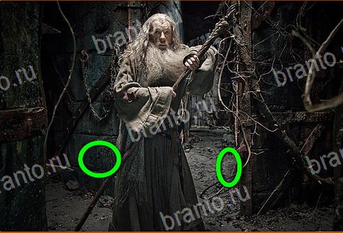 решебник на игру Найди кота Уровень 879