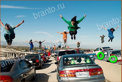 ответы на игру Найди кота Уровень 883