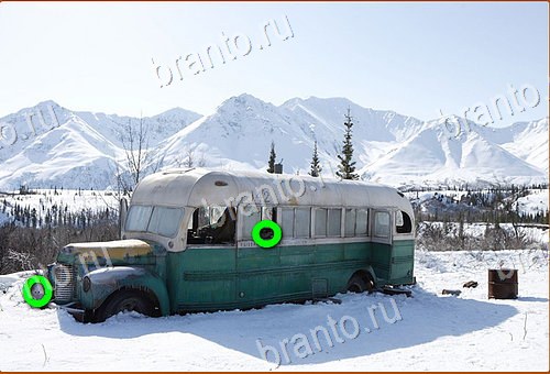 ответы на игру Найди кота Уровень 895