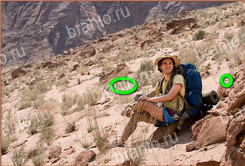 подсказки Найди кота Уровень 902