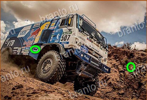 ответы на игру Найди кота Уровень 913