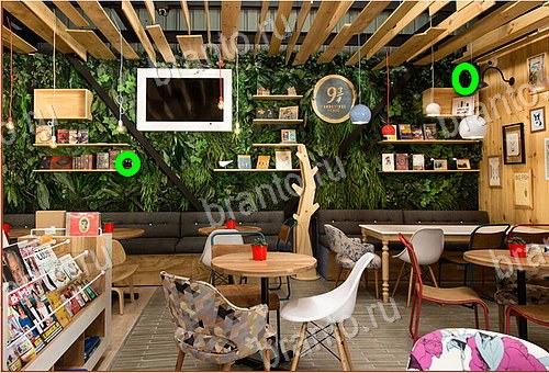 ответы на игру Найди кота Уровень 915