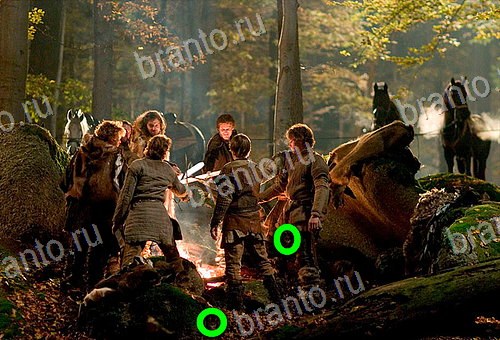 ответы на игру Найди кота Уровень 916