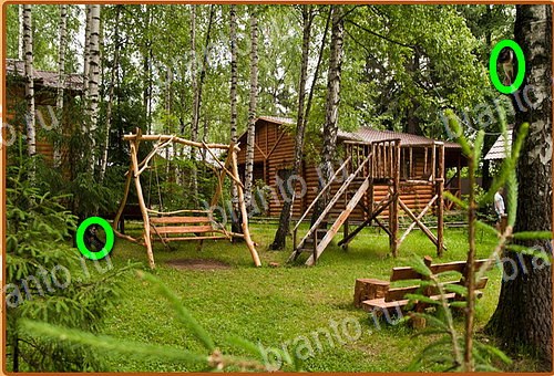 ответы на игру Найди кота Уровень 924