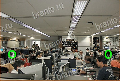 ответы на игру Найди кота уровень 930