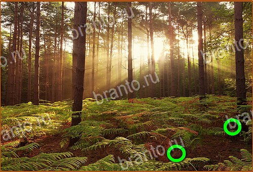 помощь на игру Найди кота Уровень 934