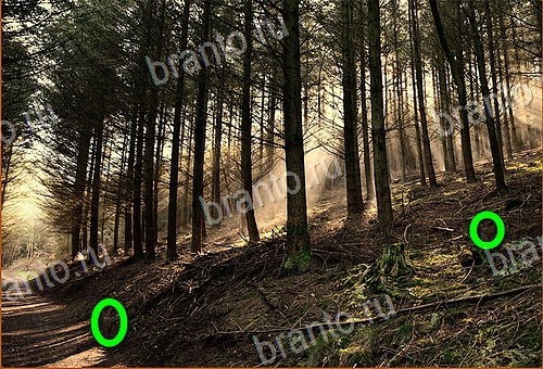 прохождение игры Найди кота Уровень 935