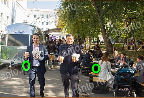 Найди кота игра ВК ответы Уровень 941