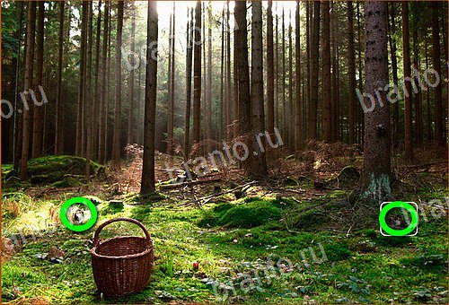 відповіді на игру Найди кота Уровень 953