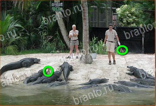 прохождение игры Найди кота Уровень 965