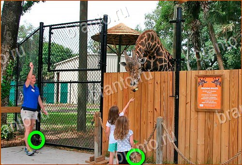 відповіді до гри Найди кота Уровень 966