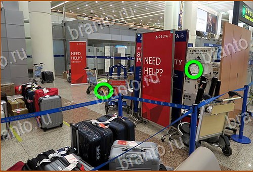 Найди кота игра ВК ответы Уровень 971