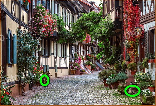 решения на игру Найди кота Уровень 979