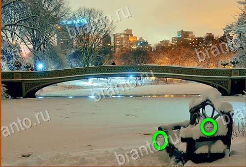 ответы на игру Найди кота Уровень 985