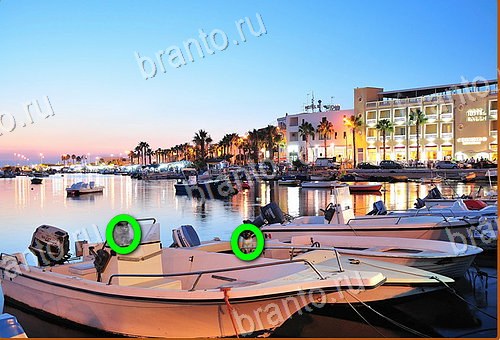 фото-ответы на игру Найди кота Уровень 989