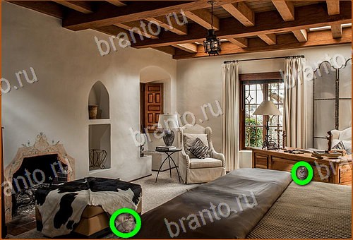 помощь на игру Найди кота Уровень 994