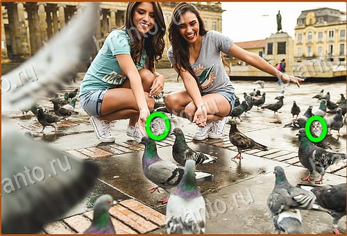 Найди кота игра ответы Уровень 1000