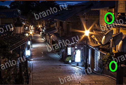 ответы на игру Найди кота Уровень 1004