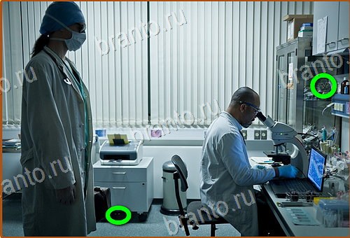 ответы на игру Найди кота Уровень 1006